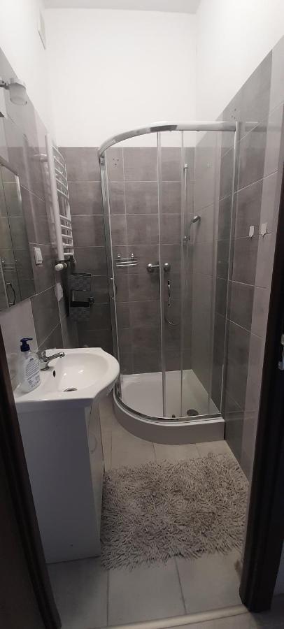 Ali 3 Apartment Sosnowiec Bagian luar foto